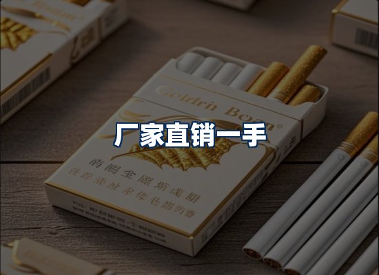 专业团队办公环境